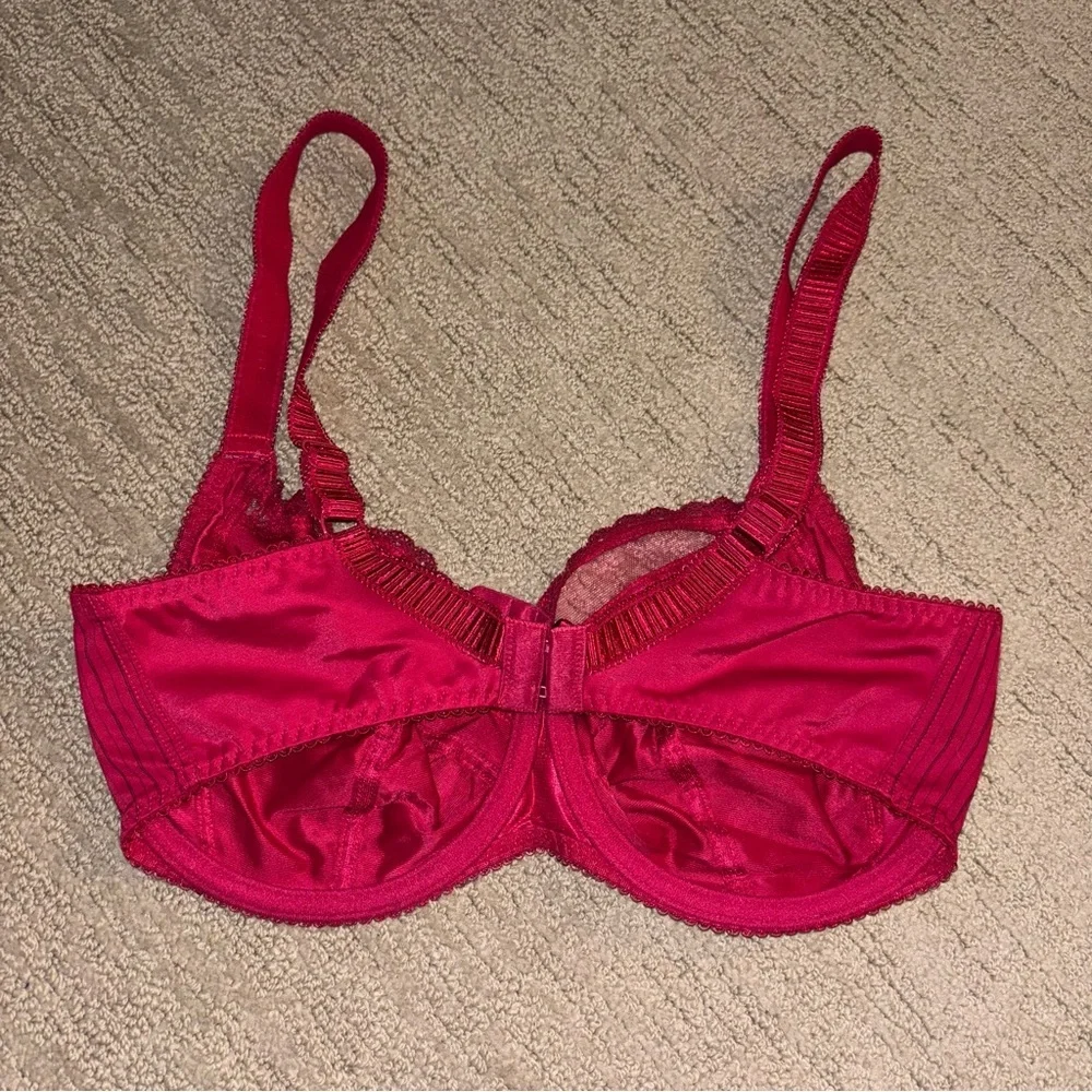 Fantasie Red Full-Coverage Bra with Underwire Support